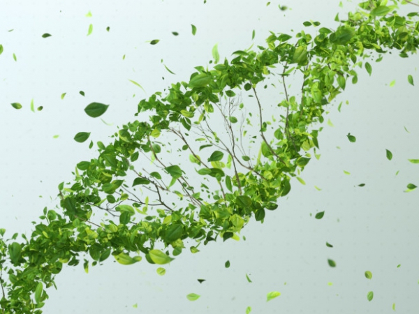 Az év ifjú nemesítője pályázat 2025