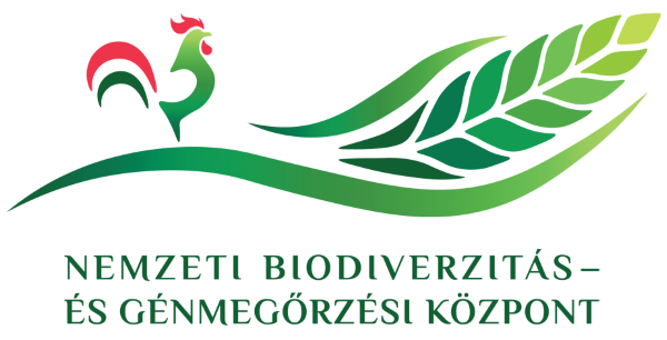 MNE Közgyűlés 2025